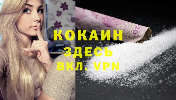ешки Алзамай