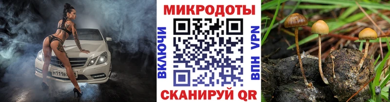 Галлюциногенные грибы прущие грибы  дарнет шоп  Мирный 